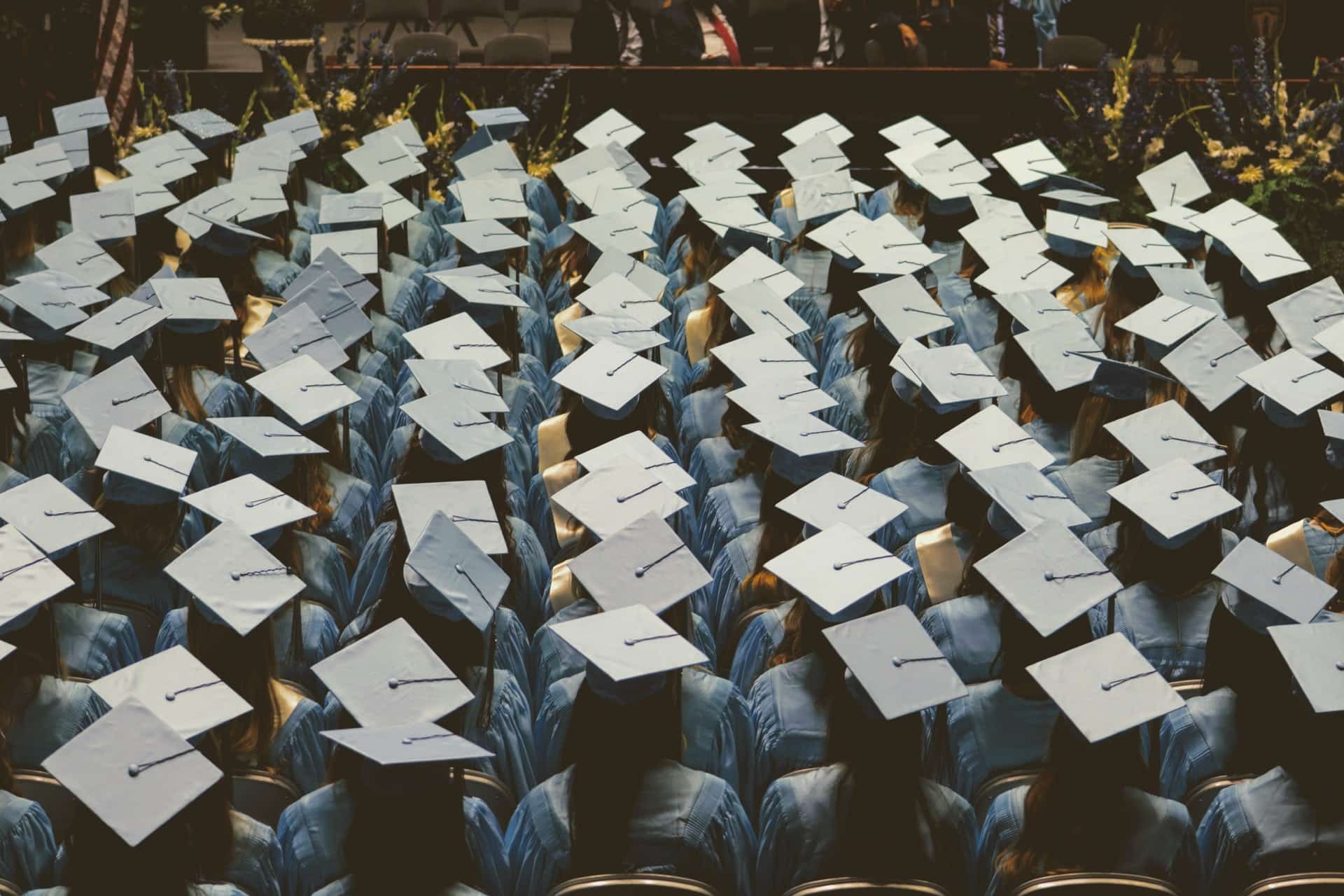 Higher Education graduation