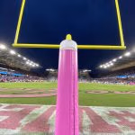 Cure Bowl
